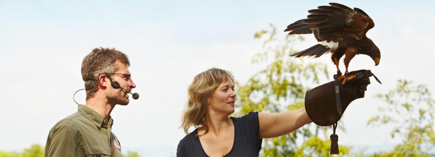 © Eurotours Cleebronn: Wilder Familienspaß in allen Höhenlagen