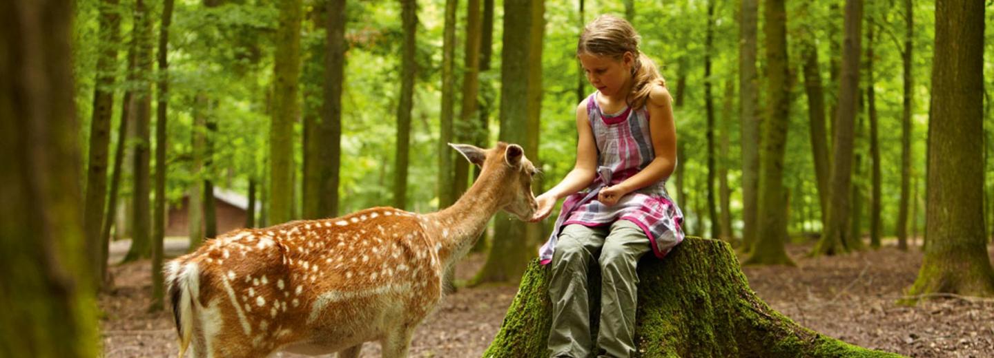 © Eurotours Cleebronn: Wilder Familienspaß in allen Höhenlagen