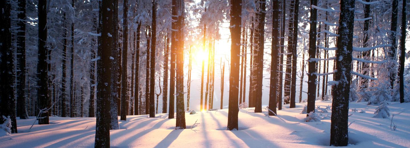 © Thinkstock Todtmoos: Heilklima und Entspannung im Schwarzwald