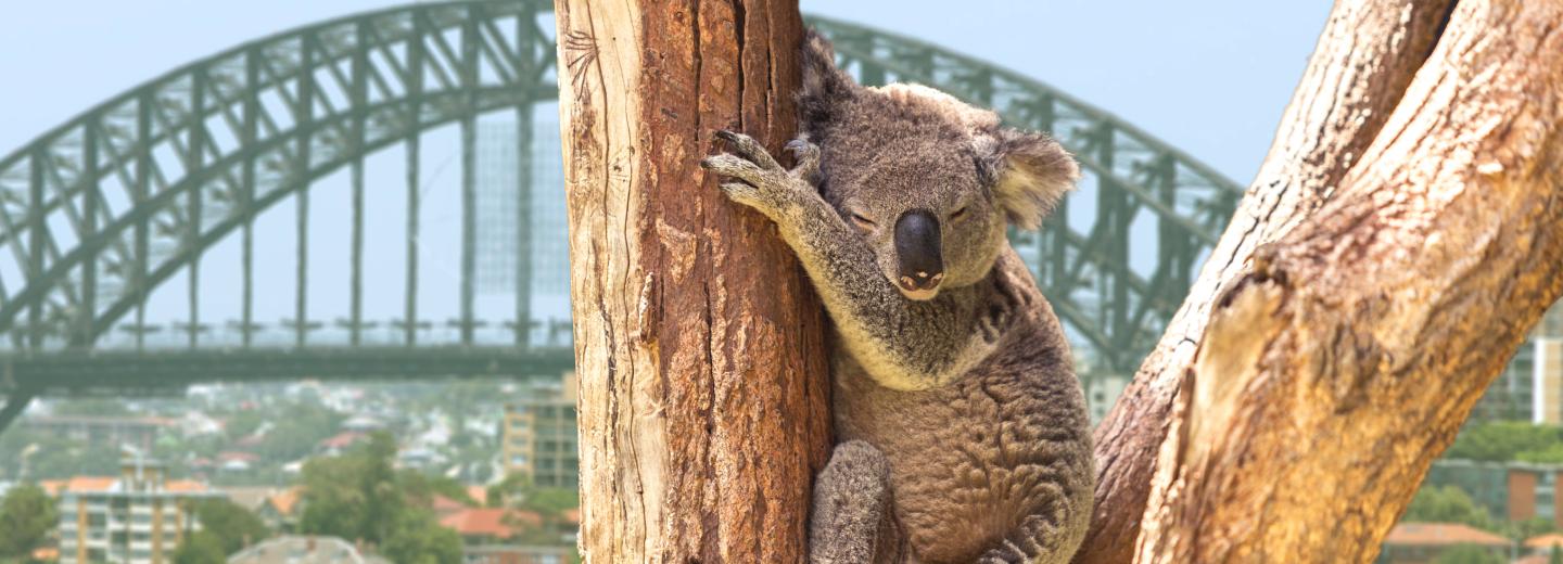 © Eurotours Dreierlei australische Wundermetropolen