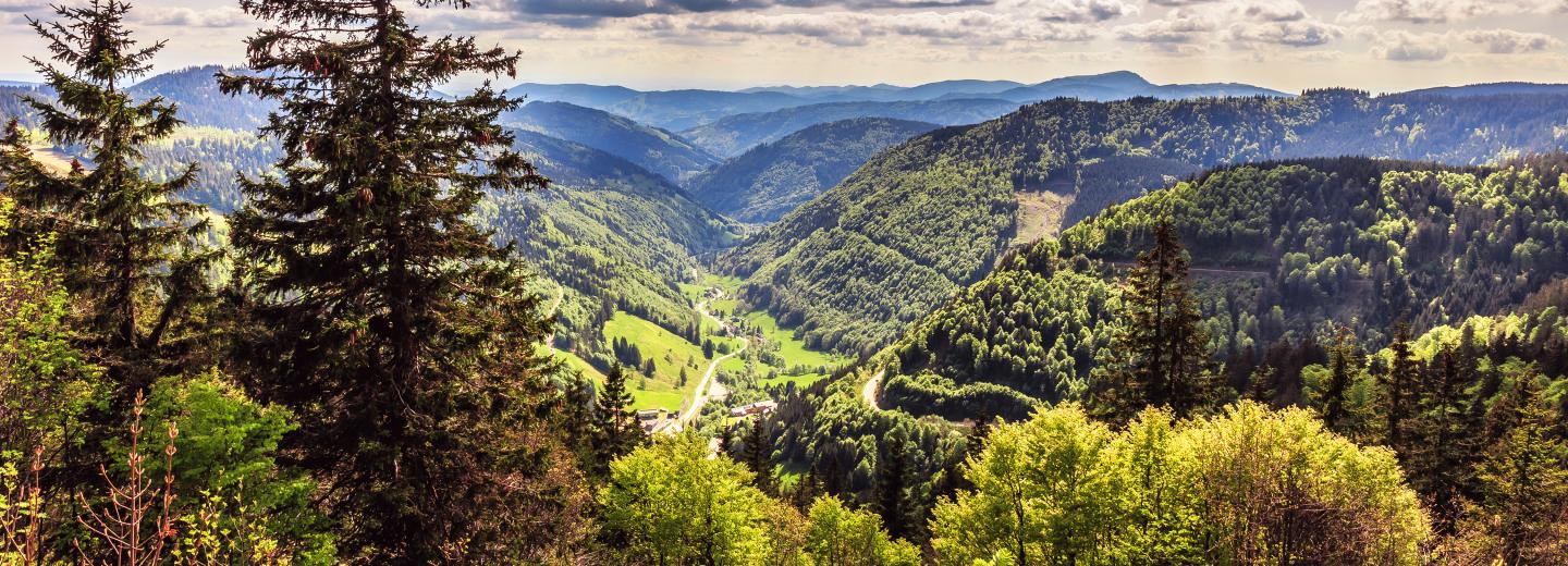 © Eurotours Schwarzwald