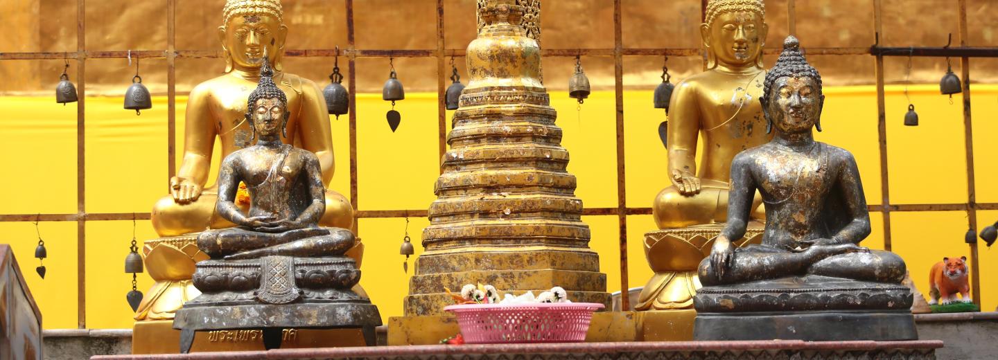 © Eurotours Rundreise & Schifffahrt: Den Facettenreichtum von Bhutan & Indien kennenlernen