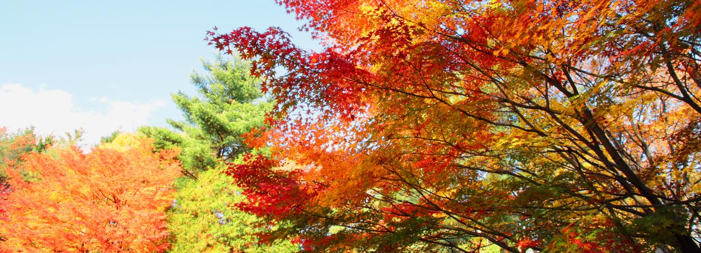 © Eurotours Indian Summer in USA und Kanada mit AIDAdiva
