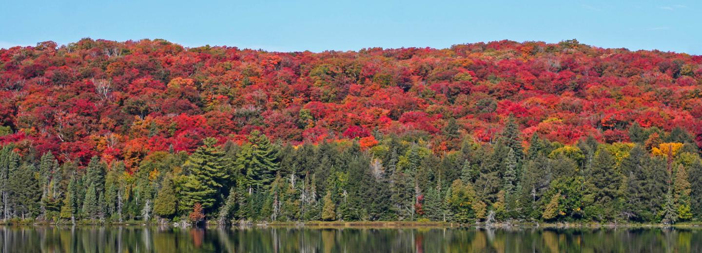© Eurotours Indian Summer, Kanada