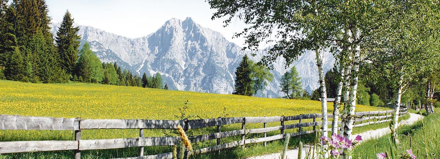 © Olympiaregion Seefeld Olympiaregion Seefeld