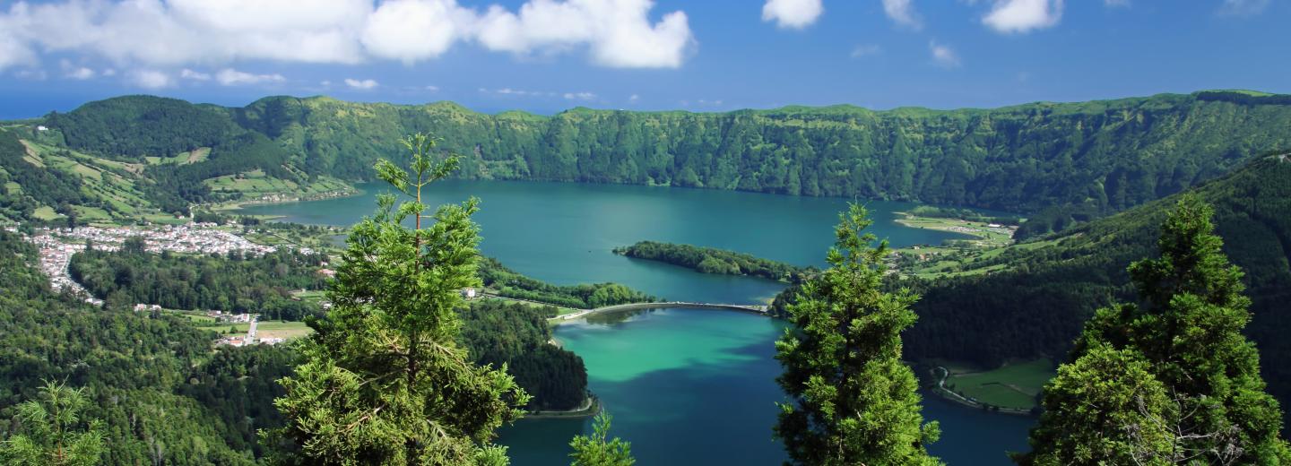 © tane-mahuta Sao Miguel