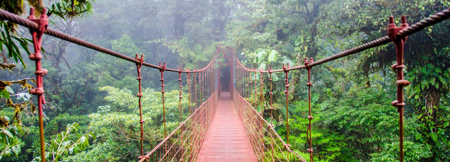 © Eurotours Biologisches Reservat Monteverde, Costa Rica
