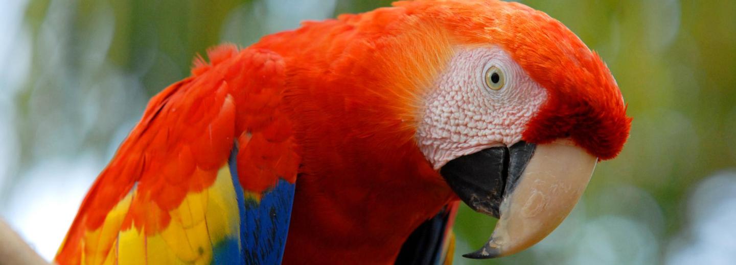© Solentiname Tours Rundreise durch Costa Rica und Nicaragua