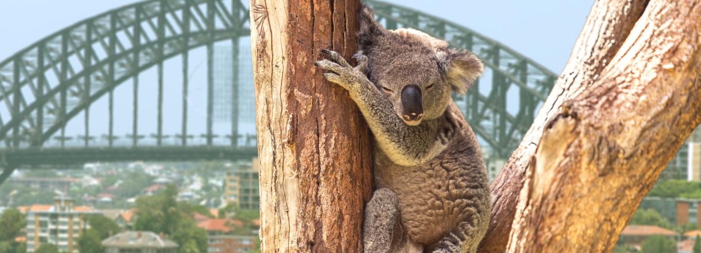 © Eurotours Sydney, Australien