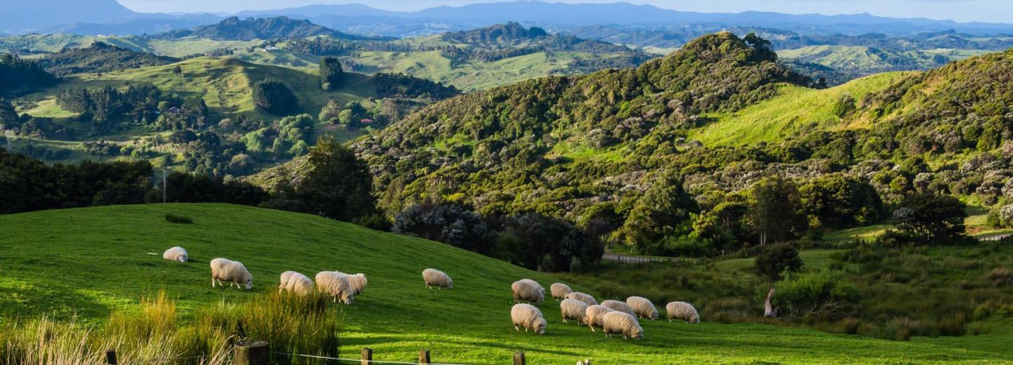 © shaycobs - Fotolia.com Neuseeland