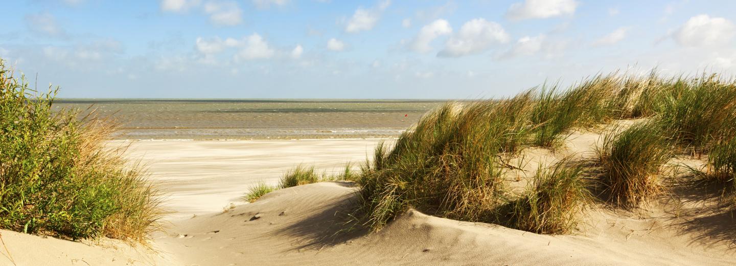 © Eurotours Zeebrugge