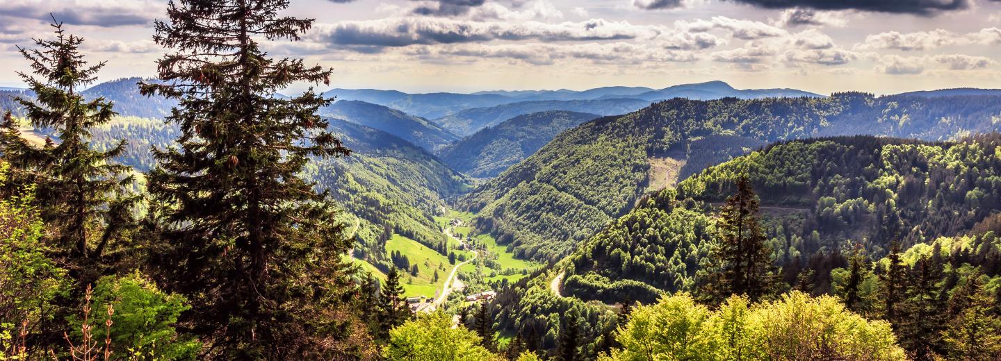 © Eurotours Schwarzwald