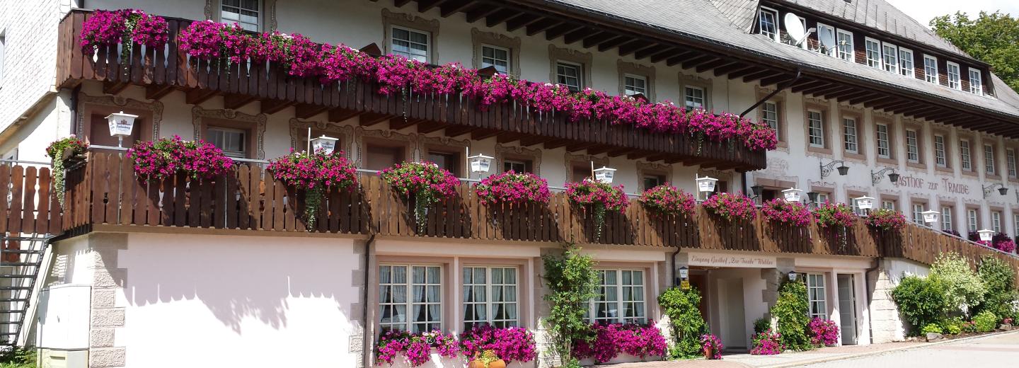 © Eurotours Hotel Schwarzwaldgasthof Zur Traube, Titisee-Neustadt