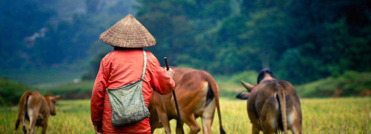 © Eurotours Vietnam
