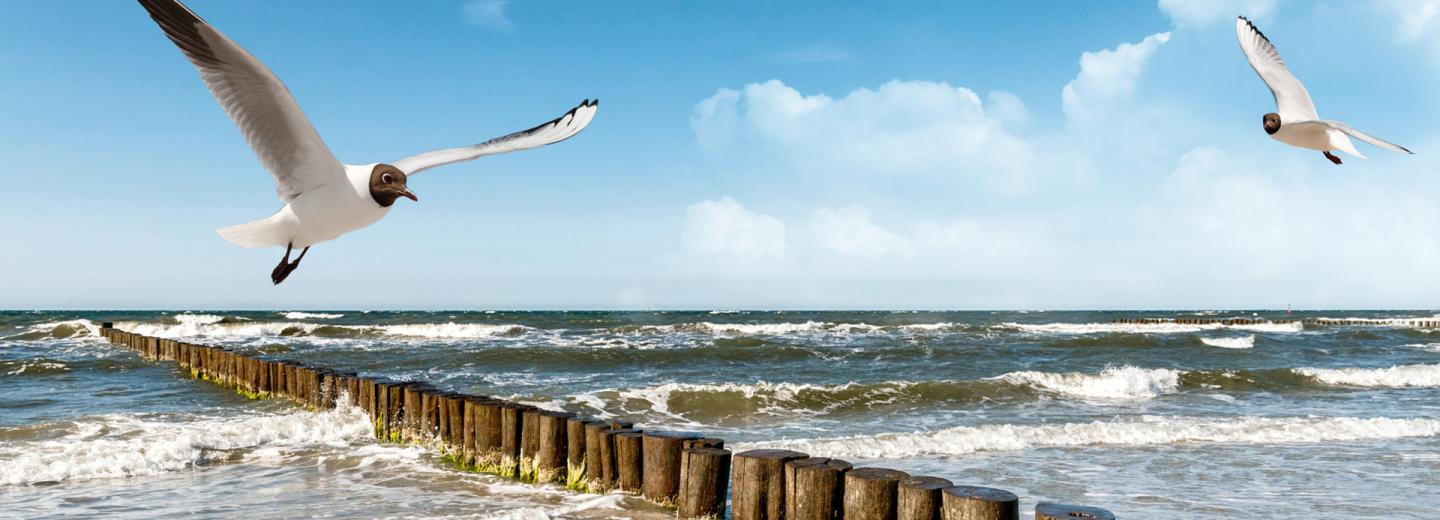 © Device - Fotolia.com Usedom