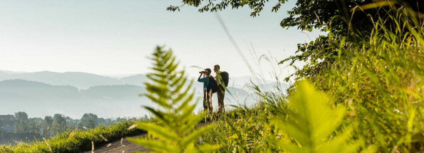 © Tourismusverband Ostbayern, Fotograf Andreas Hub Bayrischer Wald