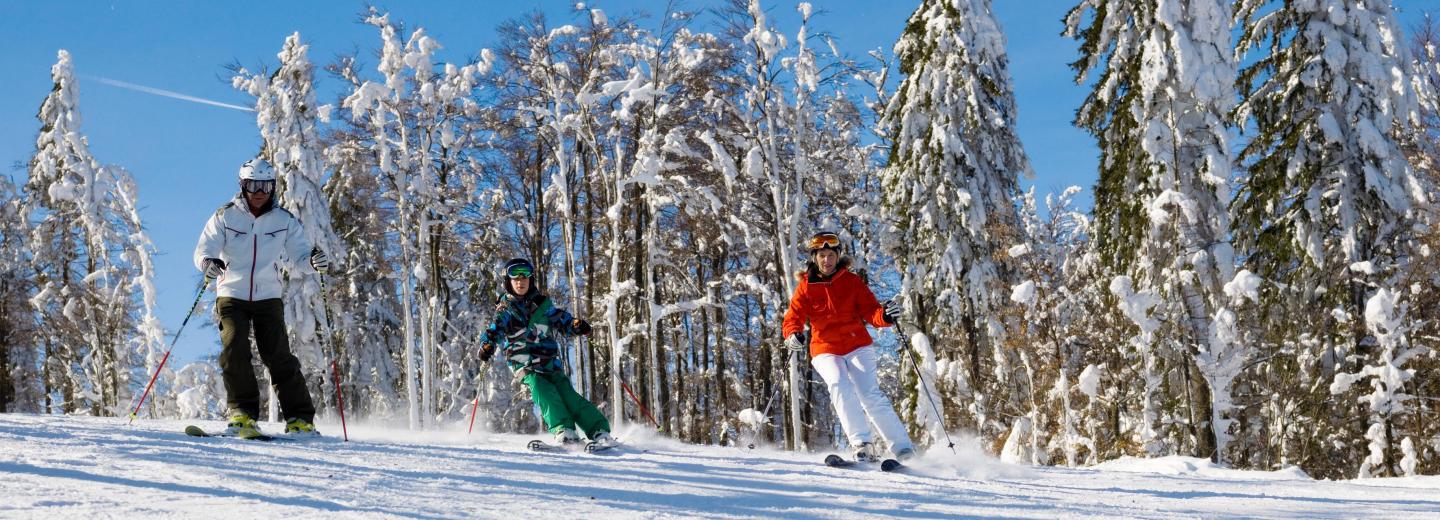 © Tourismusverband Ostbayern / Daniela Blöchinger Bayrischer Wald