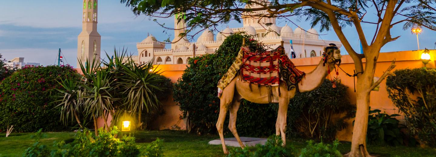 © Eurotours Hurghada