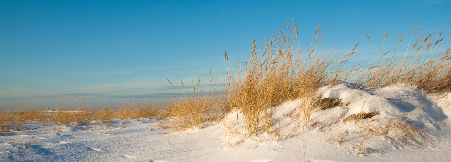 © Eurotours Immer eine Reise wert: Die Niederlande