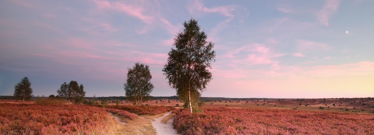 © Eurotours Lüneburger Heide