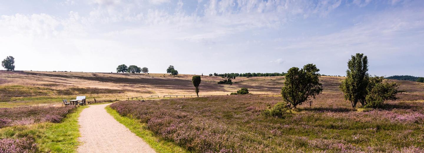 © Erlebniswelt Lüneburger Heide GmbH, Fotograf Markus Tiemann Lüneburger Heide