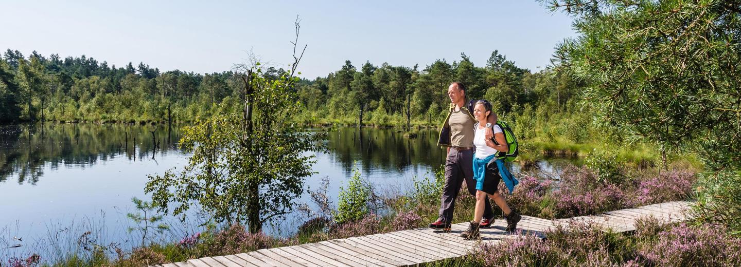 © Erlebniswelt Lüneburger Heide GmbH, Fotograf Markus Tiemann Lüneburger Heide