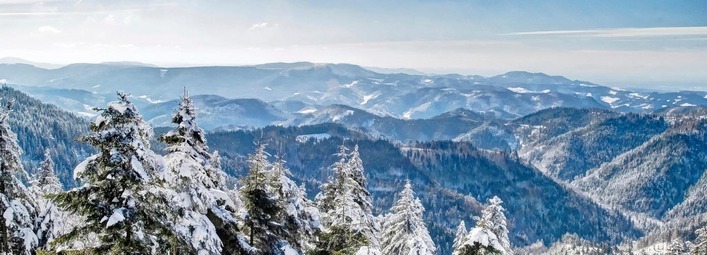 © Eurotours Schwarzwald