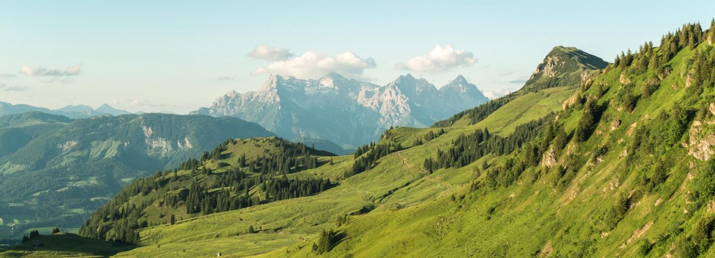 © Kitzbüheler Alpen Fieberbrunn