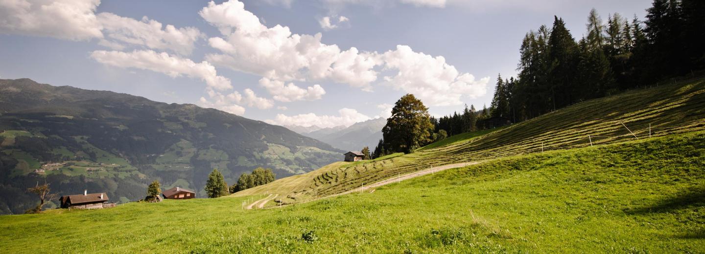 © Zillertal Tourismus GmbH, Andre Schönherr Region Zillertal