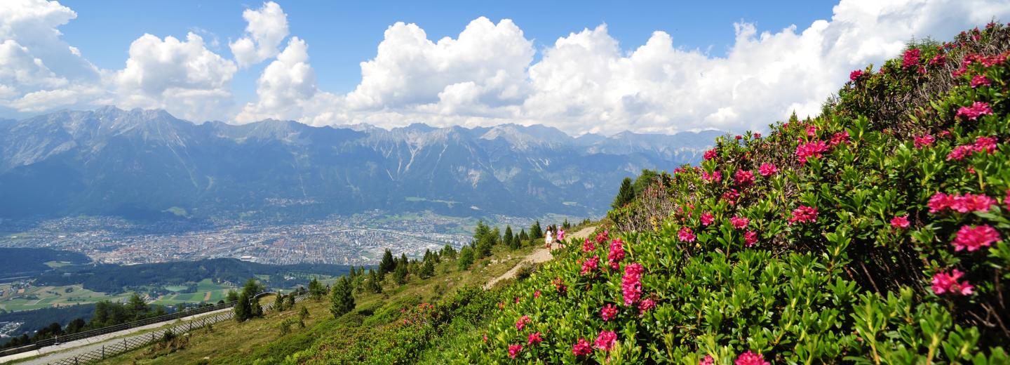 © TVB Innsbruck / Rosie Schwarz Patscherkofel