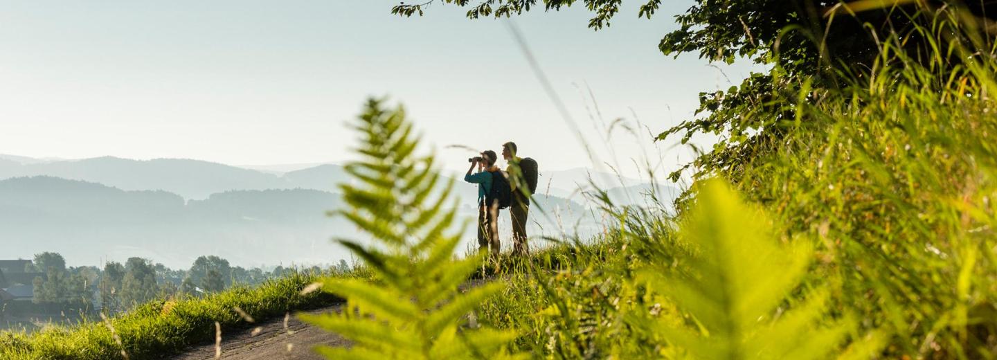 © Tourismusverband Ostbayern / Fotograf: Andreas Hub Bayrischer Wald