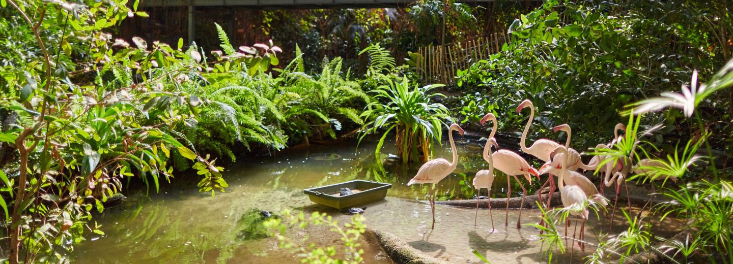 © Tropical Islands Tropical Islands: Sommerurlaub 365 Tage im Jahr