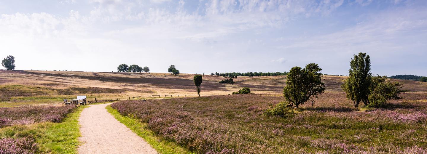 © Erlebniswelt Lüneburger Heide GmbH, Fotograf Markus Tiemann Lüneburger Heide