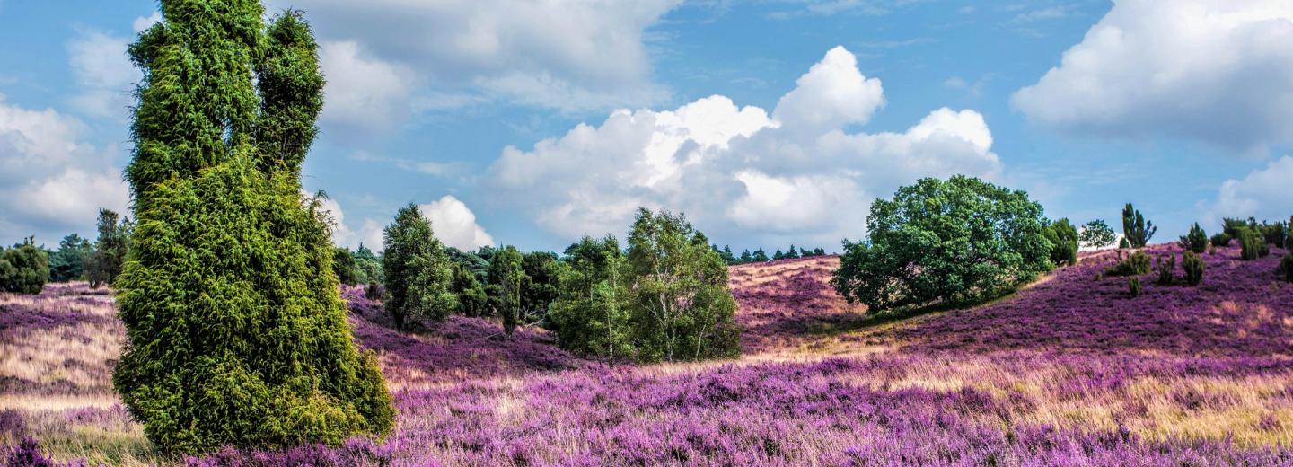 © Eurotours Bad Bevensen: Ein Ort zum Wohlfühlen
