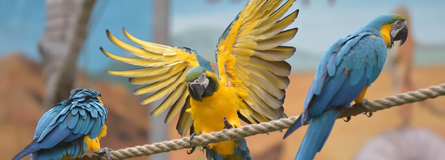 © Erlebnis Zoo Hannover Zoo Hannover