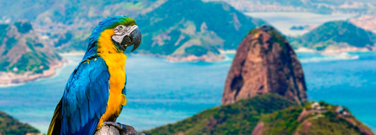 © Eurotours Rio de Janeiro, Brasilien