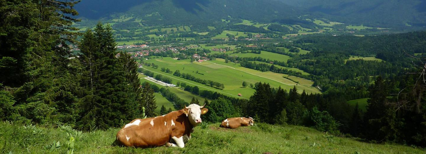 © Eurotours Aktive Tage im bayerisches Bergparadies Lenggries