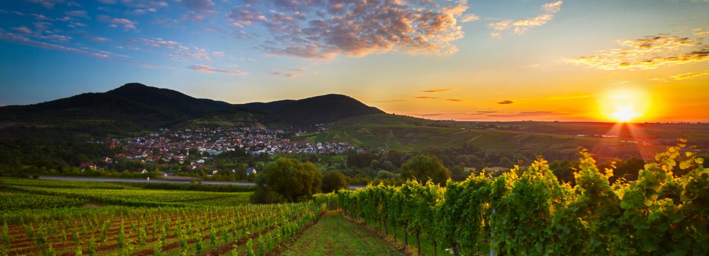 © Eurotours Rheinland Pfalz