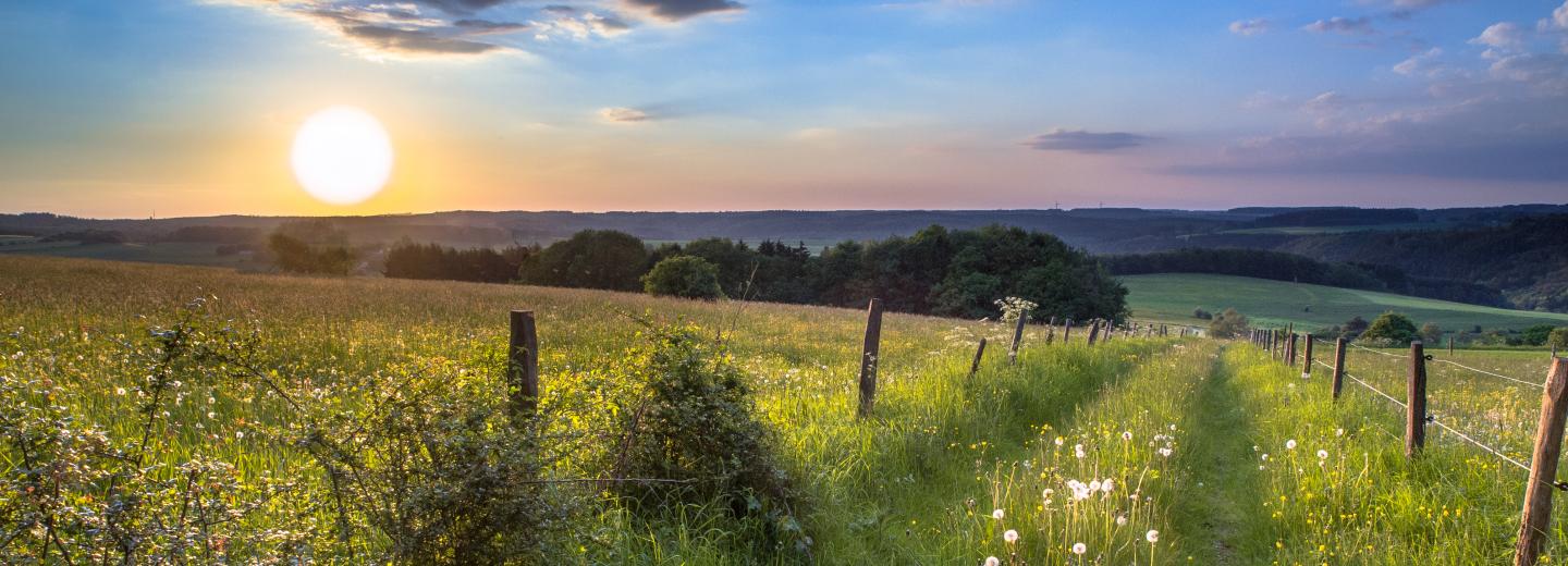 © Eurotours Rheinland Pfalz