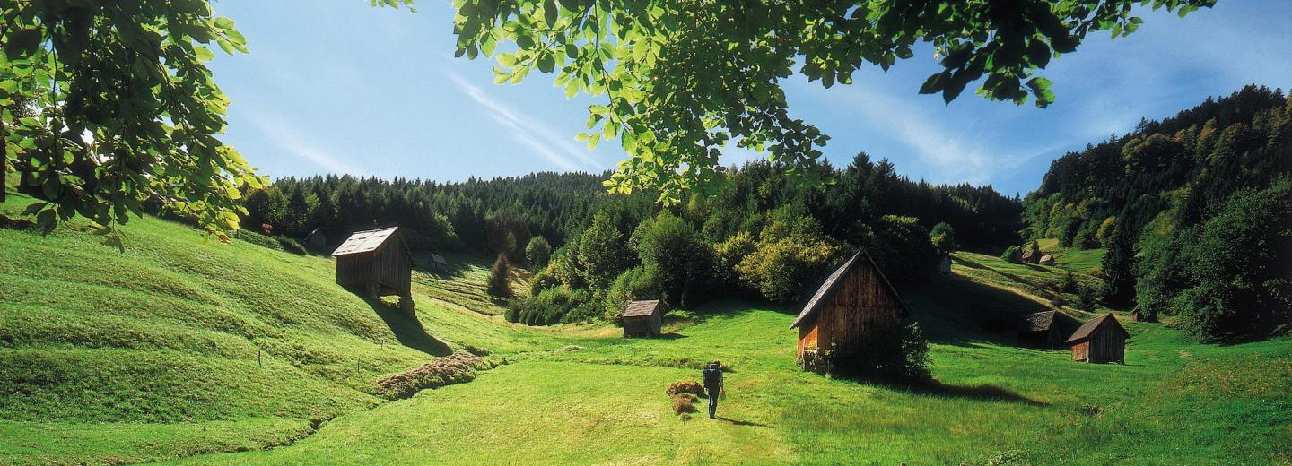 © Zweckverband im Tal der Murg Schwarzwald