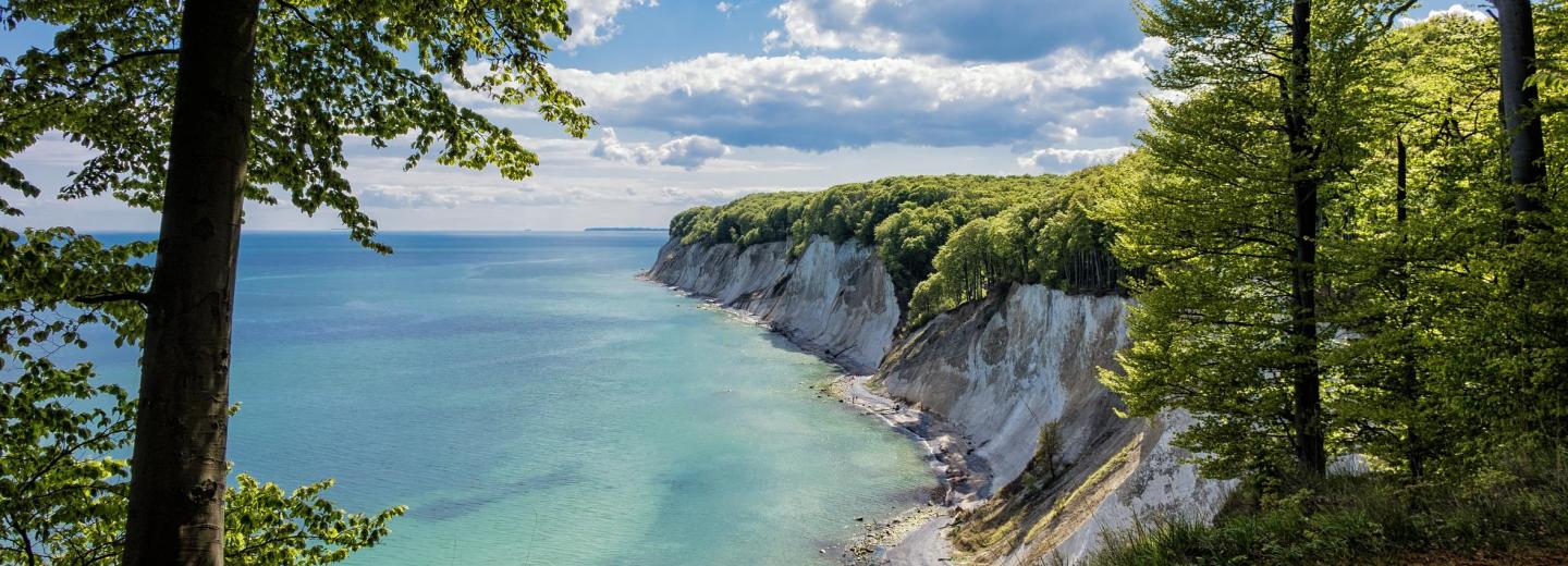 © Eurotours Rügen: Urlaub inmitten goldener Felder