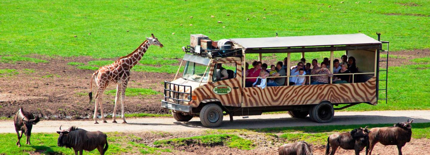© Serengeti-Park Hodenhagen GmbH Ein Stück Afrika in der Lüneburger Heide