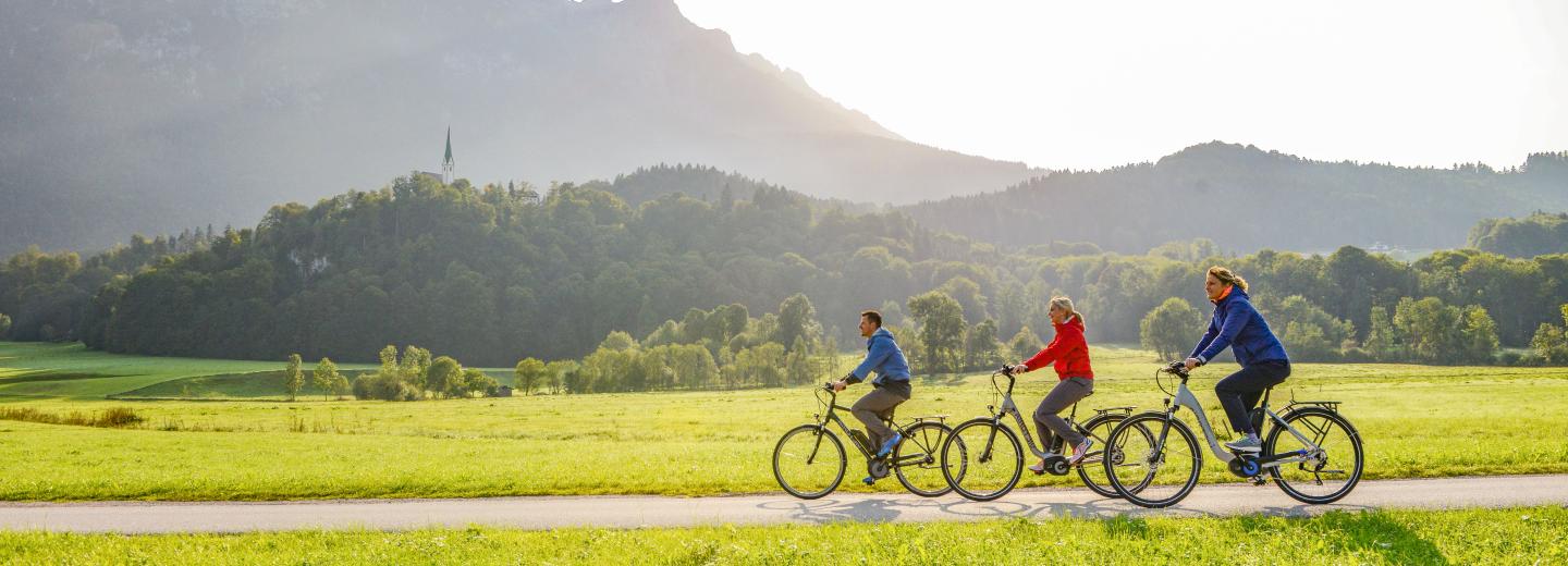 © VICTORIA Premium-E-Bikes VICTORIA