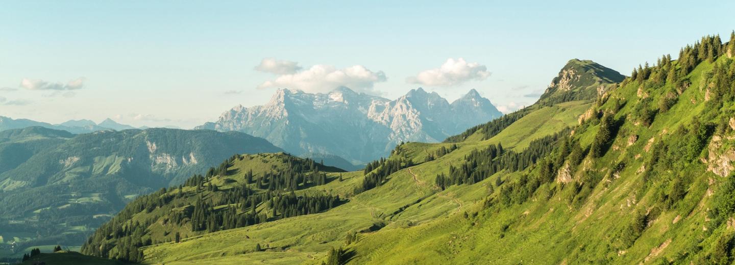 © Kitzbüheler Alpen Fieberbrunn