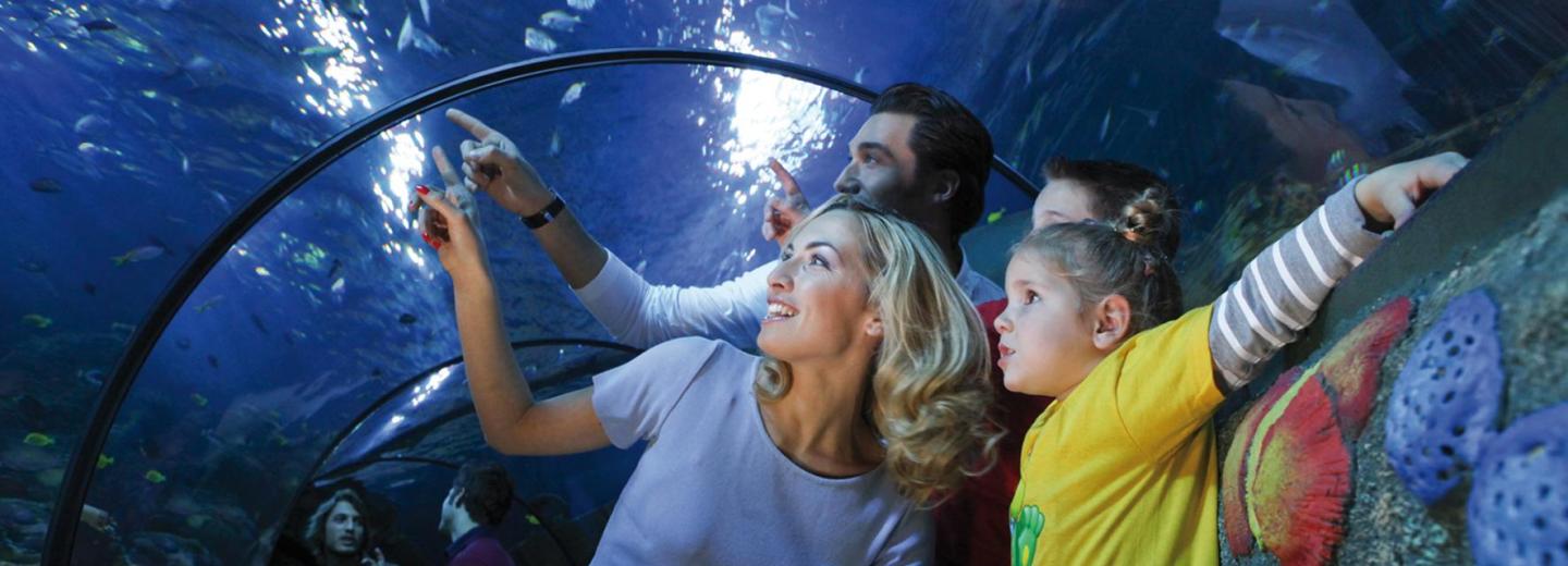 © Gardaland & Sealife Gardaland und Sealife, Castelnuovo del Garda