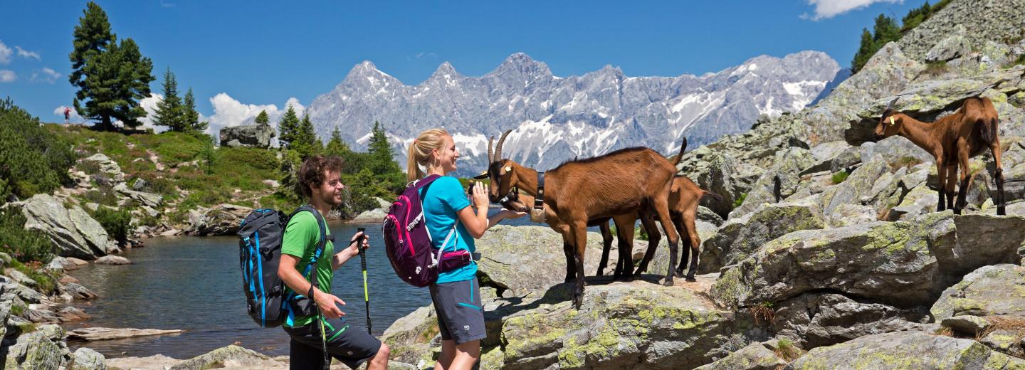 © Schladming-Dachstein / Raffalt Region Schladming-Dachstein