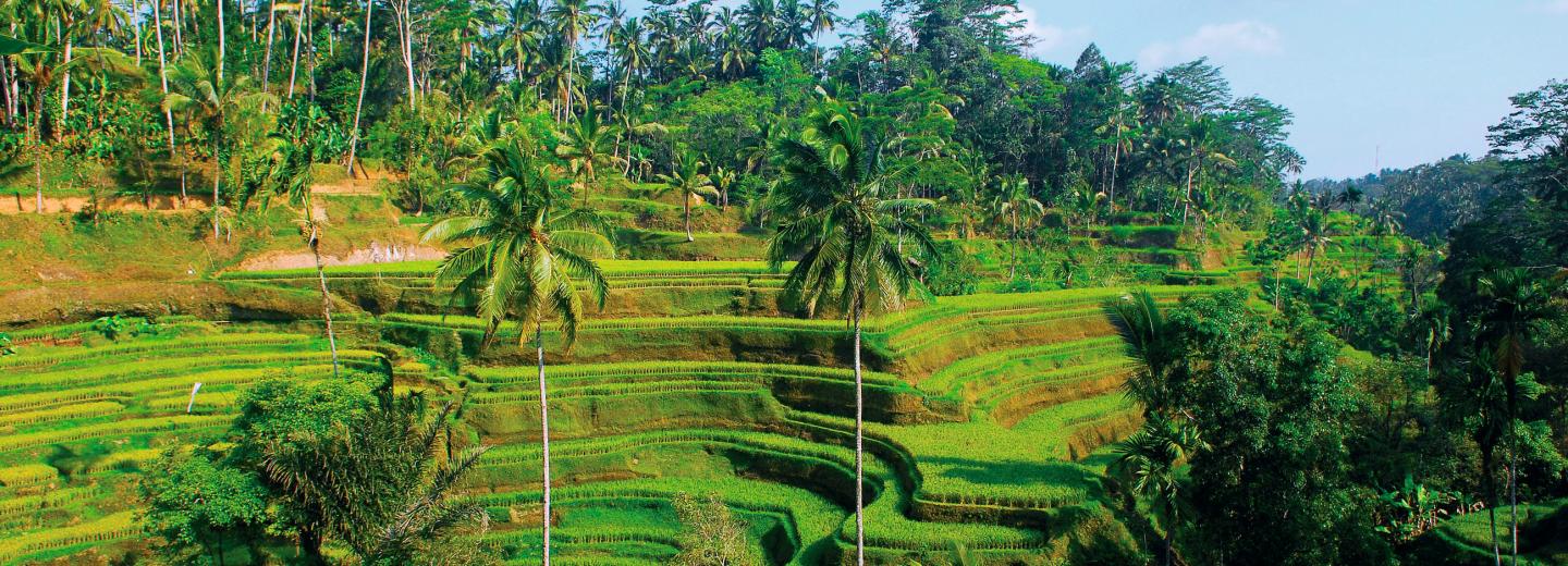 © Eurotours Indonesien: Bali Rundreise mit Strandaufenthalt