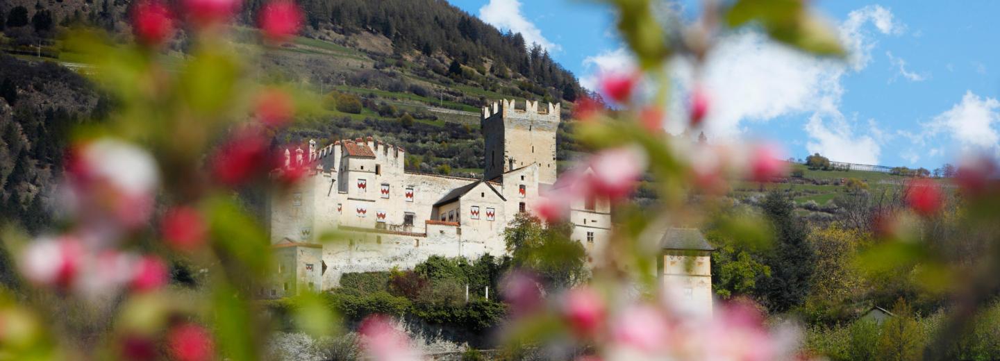 © Vinschgau Marketing - F. Blickle Schluderns
