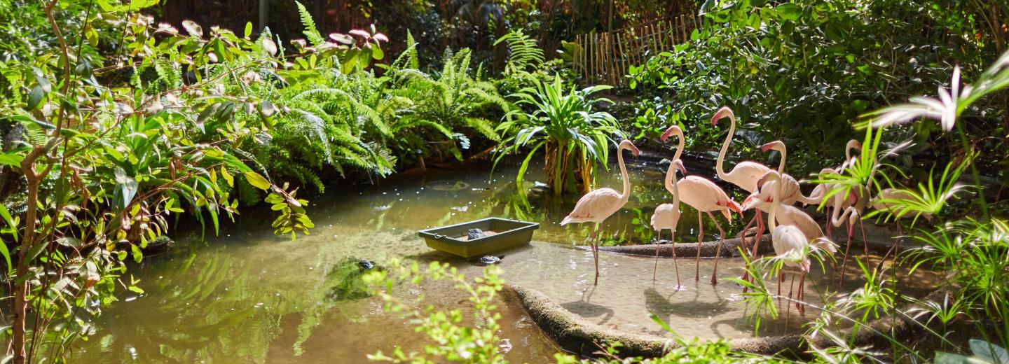 © Eurotours Tropical Islands in Krausnick: Ein Fernreiseziel ganz nah