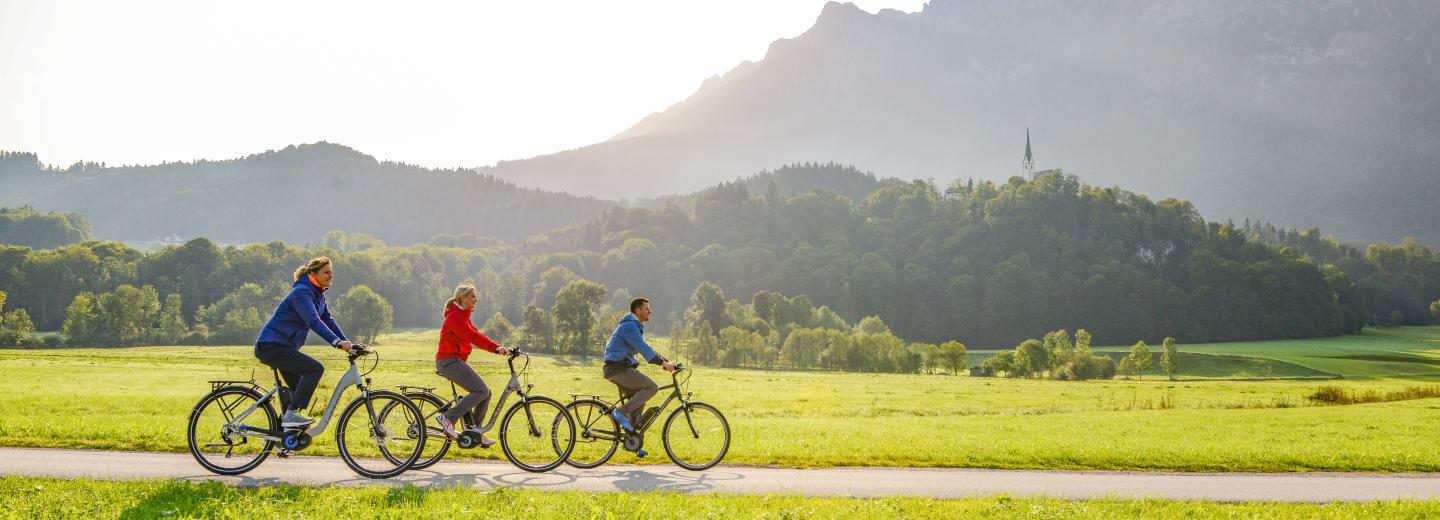 © VICTORIA E-Bikes VICTORIA